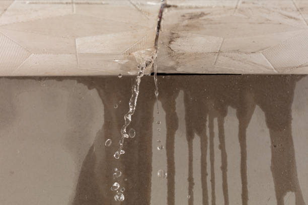 Professional Water Damage Repair technician working in Hereford, TX